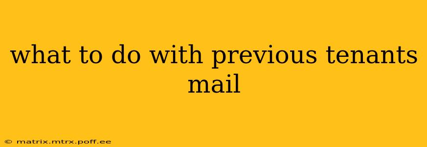 what to do with previous tenants mail