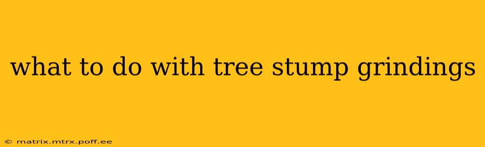 what to do with tree stump grindings