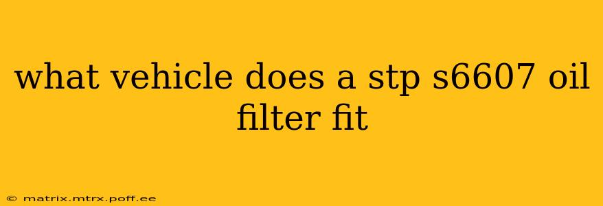what vehicle does a stp s6607 oil filter fit