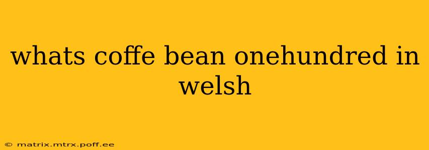 whats coffe bean onehundred in welsh