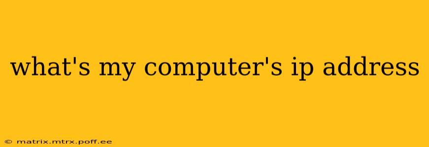what's my computer's ip address