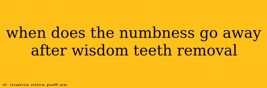 when does the numbness go away after wisdom teeth removal