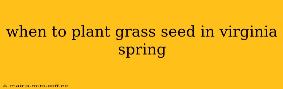 when to plant grass seed in virginia spring