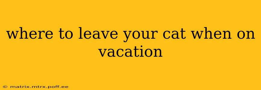 where to leave your cat when on vacation