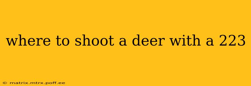 where to shoot a deer with a 223