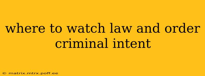 where to watch law and order criminal intent