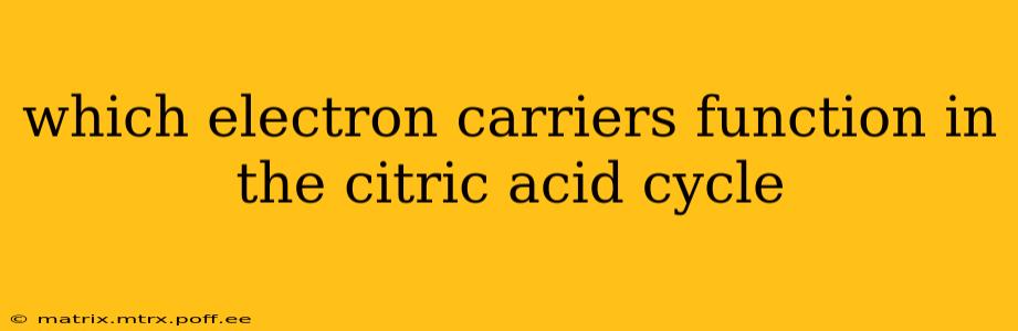 which electron carriers function in the citric acid cycle