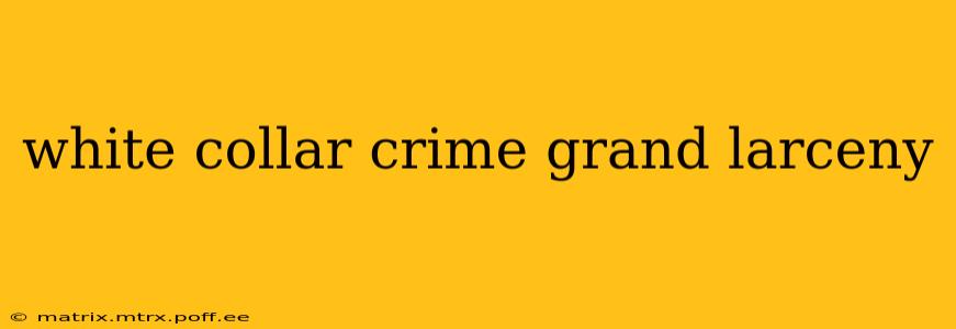 white collar crime grand larceny