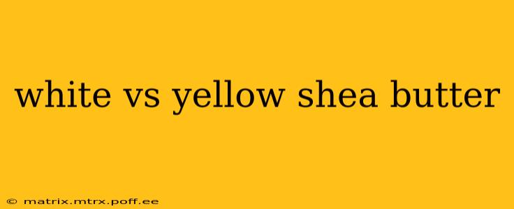 white vs yellow shea butter