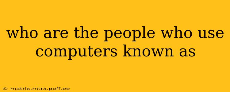 who are the people who use computers known as