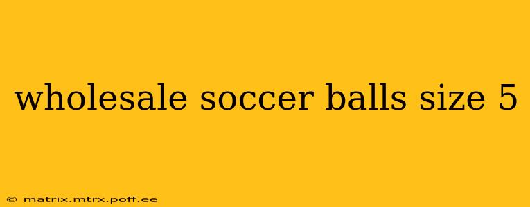 wholesale soccer balls size 5