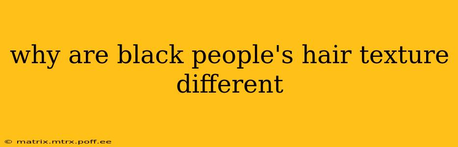 why are black people's hair texture different