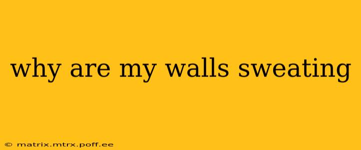 why are my walls sweating