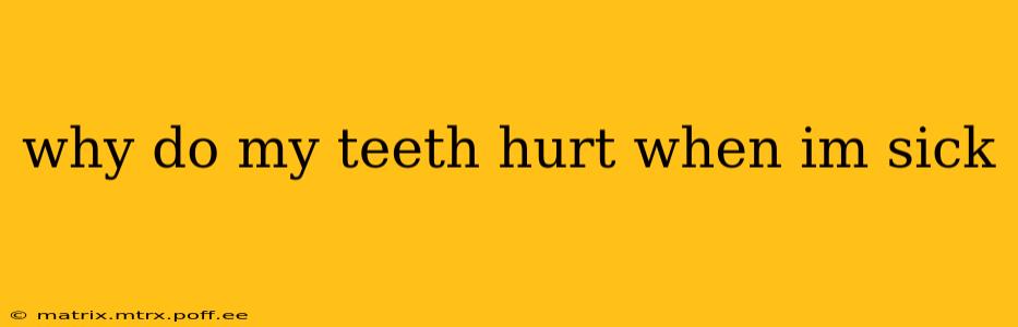 why do my teeth hurt when im sick