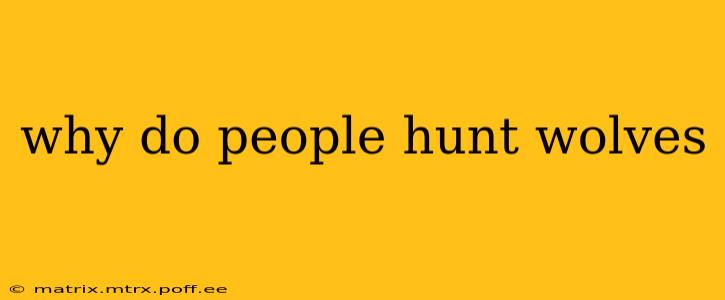 why do people hunt wolves