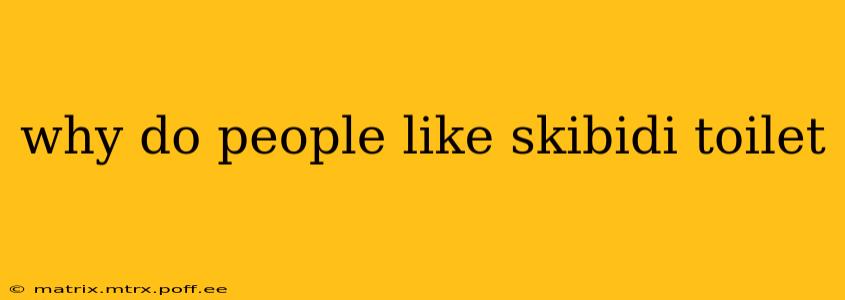 why do people like skibidi toilet
