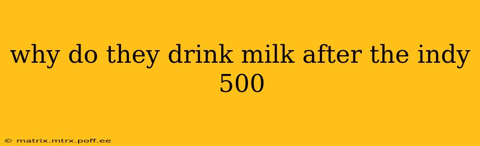 why do they drink milk after the indy 500