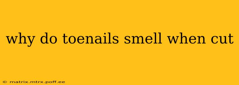 why do toenails smell when cut