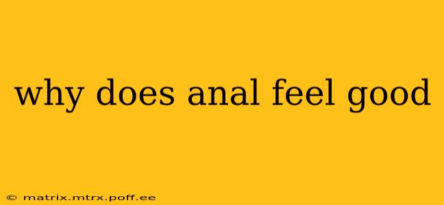 why does anal feel good