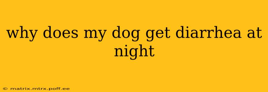 why does my dog get diarrhea at night