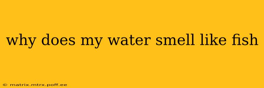 why does my water smell like fish