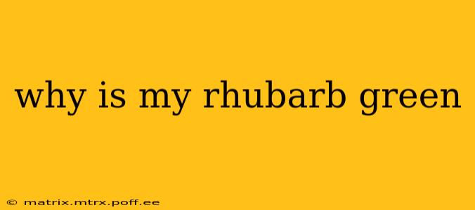 why is my rhubarb green