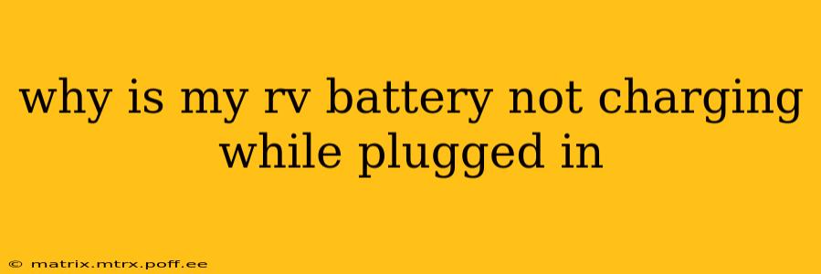 why is my rv battery not charging while plugged in