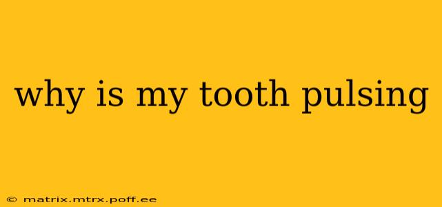 why is my tooth pulsing