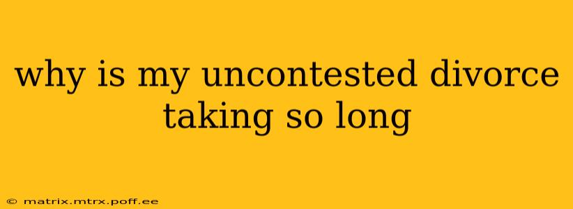 why is my uncontested divorce taking so long