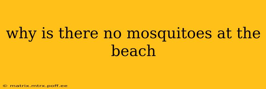 why is there no mosquitoes at the beach