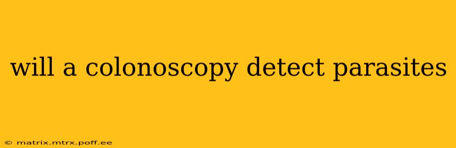 will a colonoscopy detect parasites