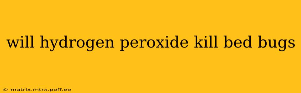 will hydrogen peroxide kill bed bugs
