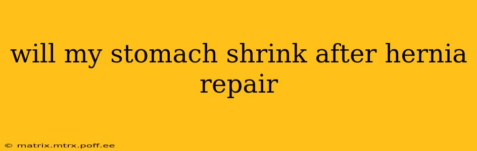will my stomach shrink after hernia repair