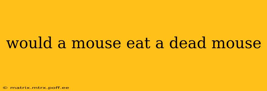 would a mouse eat a dead mouse